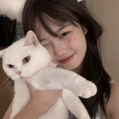 校园巴士玩偶屋手机版下载